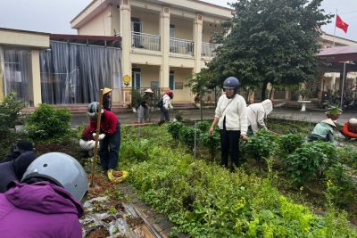 GẶP MẶT ĐẦU XUÂN – TẾT TRỒNG CÂY